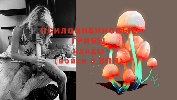 дмт Богданович