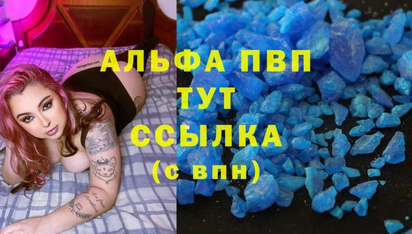 дмт Богданович