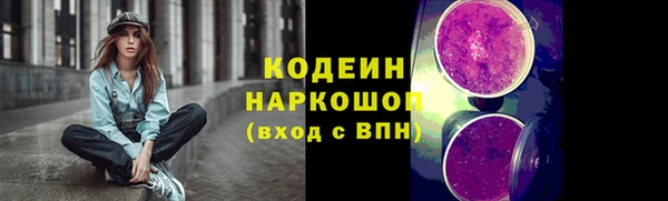 дмт Богданович