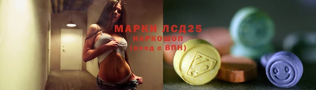 дмт Богданович