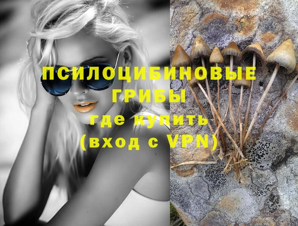 альфа пвп Богородицк