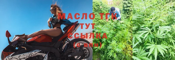 дмт Богданович