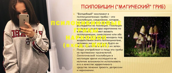 таблы Богородск