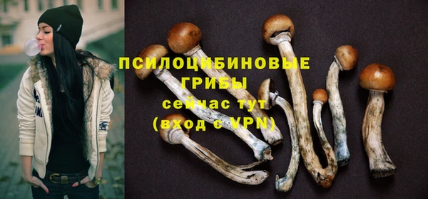 дмт Богданович