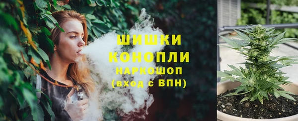 дмт Богданович