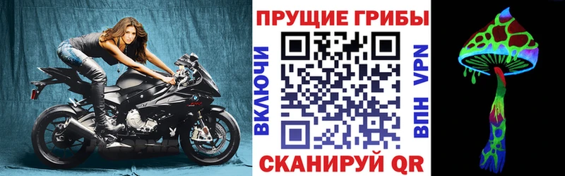 Галлюциногенные грибы Psilocybine cubensis  Купить закладки  Свободный 